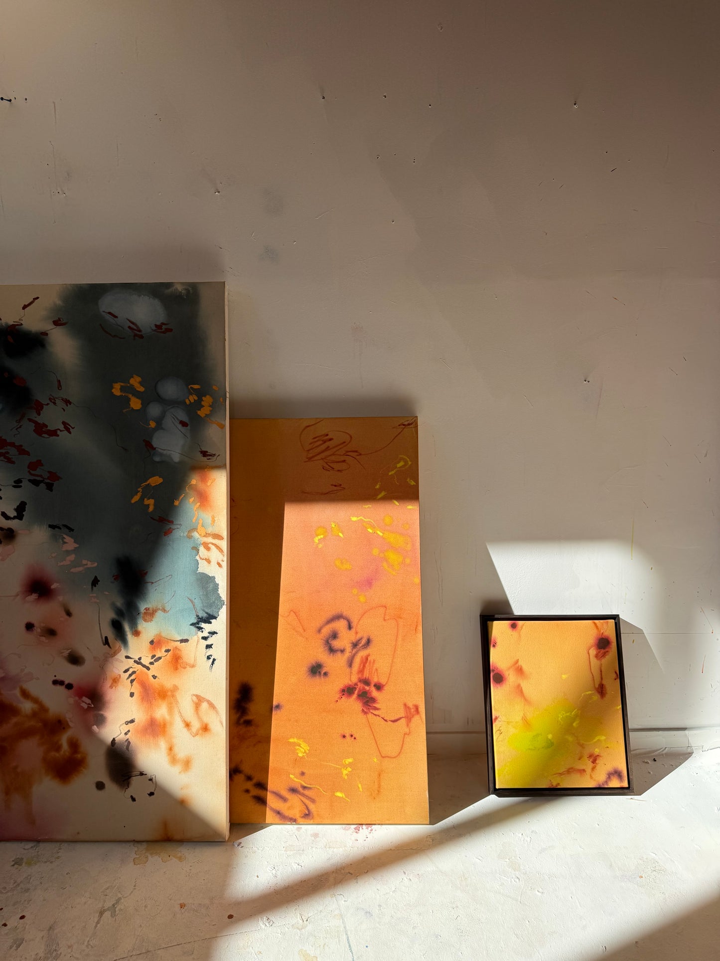 Celia Lees / I Thought Something Was Said