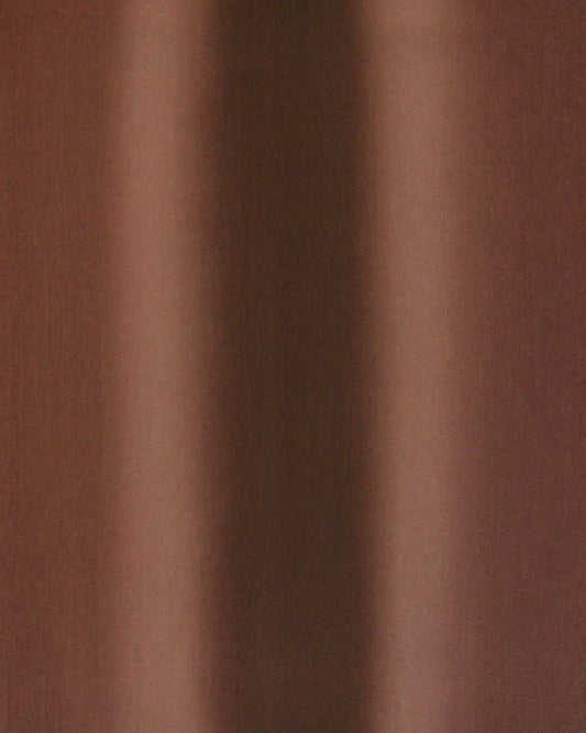 Ali Pilli / A Delicate Lifetime of... Just Us