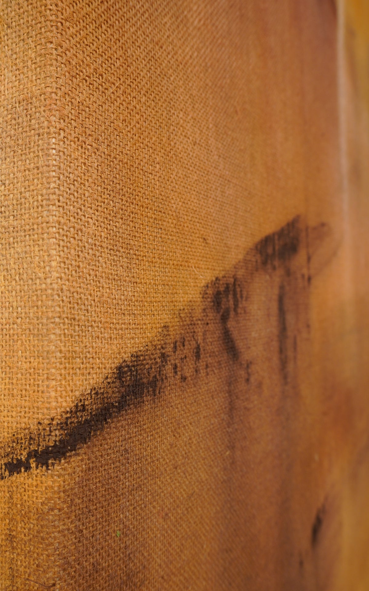 Andrea Solaja / Alchemy 35