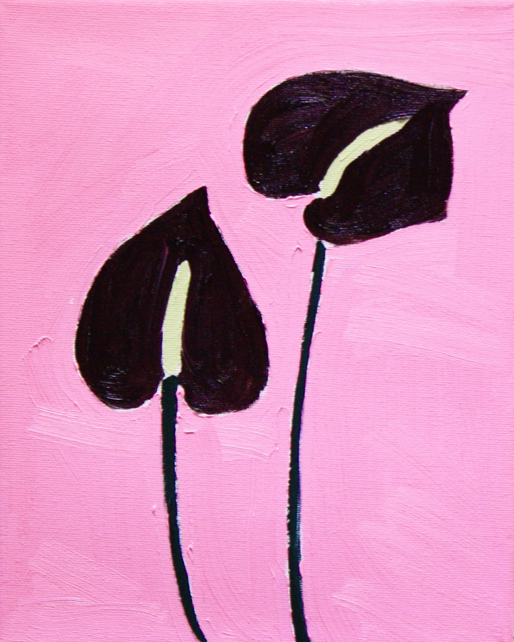 Hayley Axelrad / Anthuriums