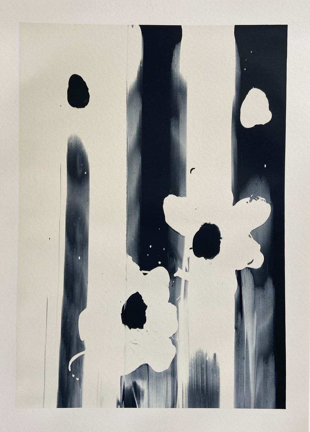 Natalia Nicole Rodriguez / Beginnings No. 02