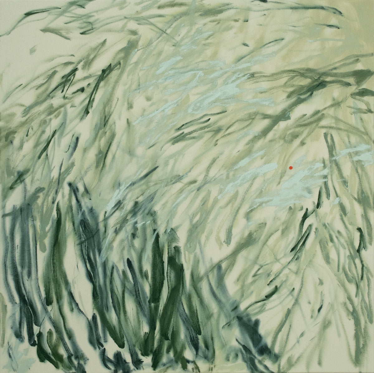 Anna Núñez / Carry On