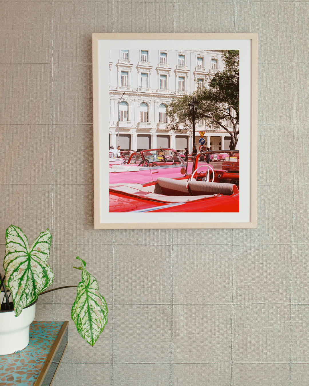 Ella Segal / Cars in Havana