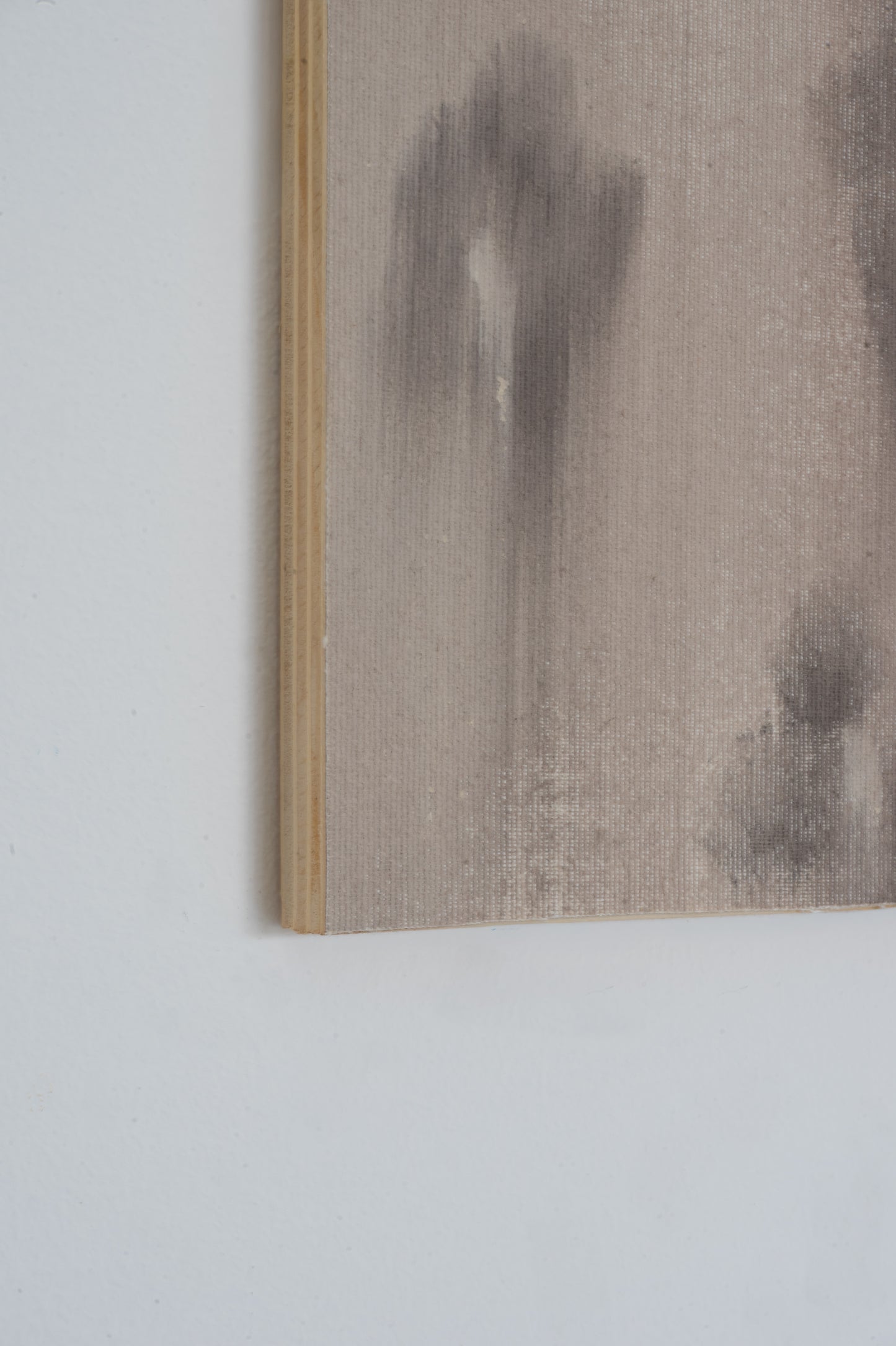 Natalia Nicole Rodriguez / Sueños Congelados