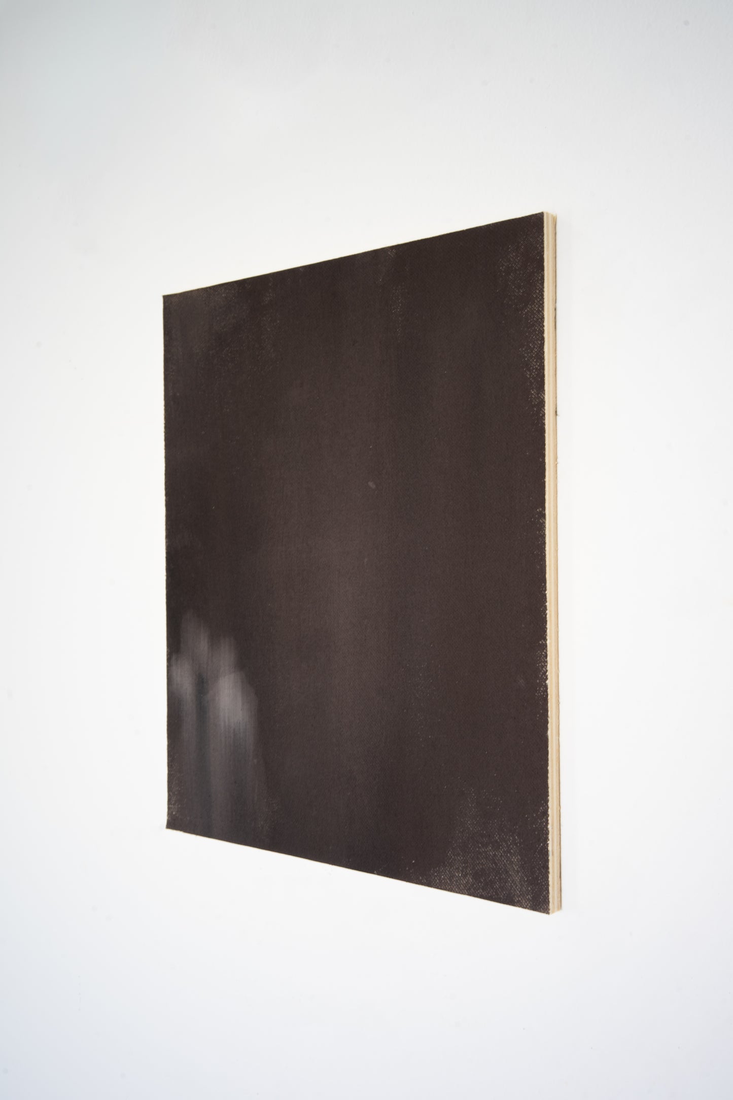 Natalia Nicole Rodriguez / Stillness