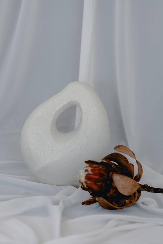 Olga Iacovlenco / Ouverture