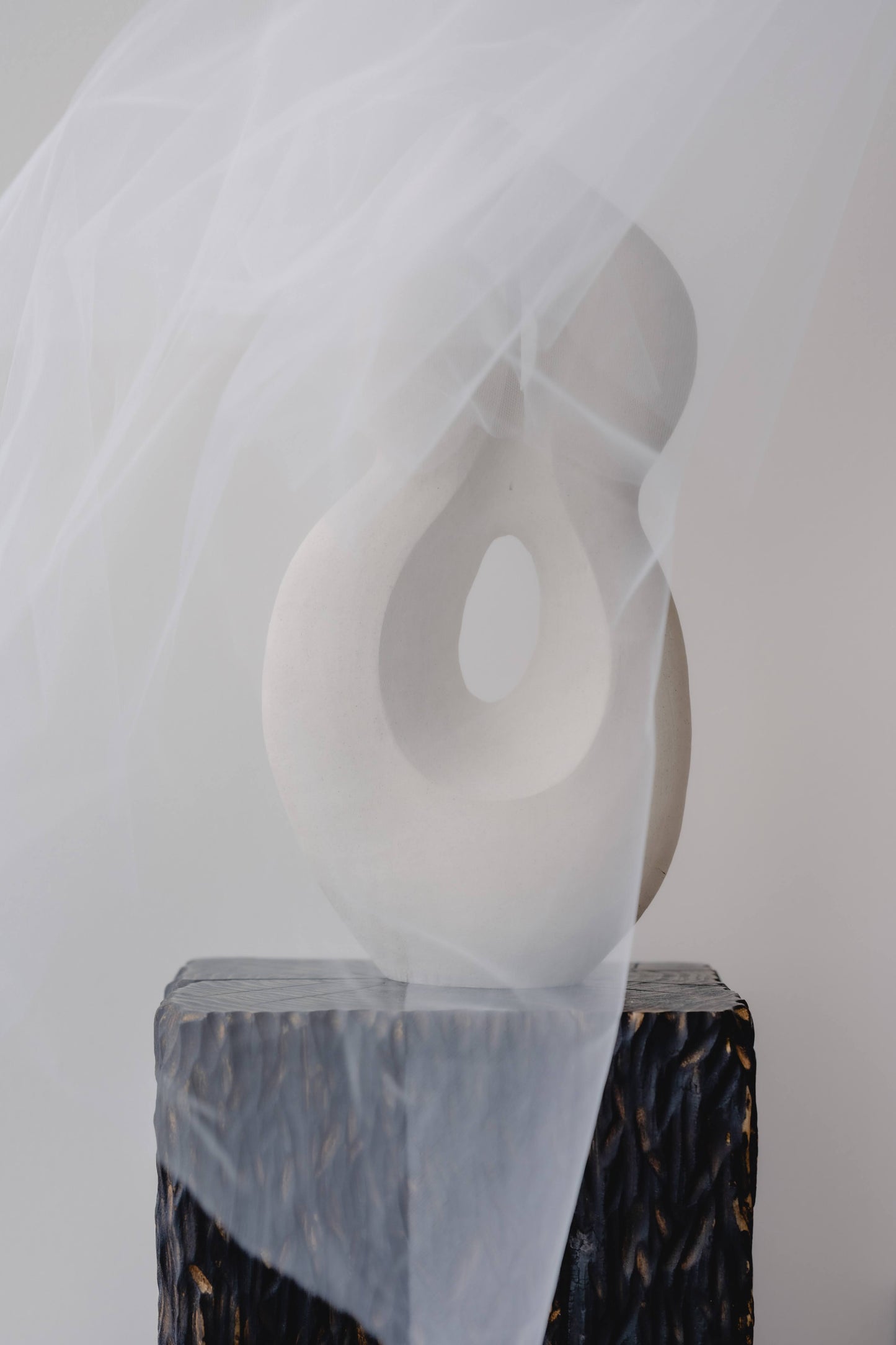 Olga Iacovlenco / Lien