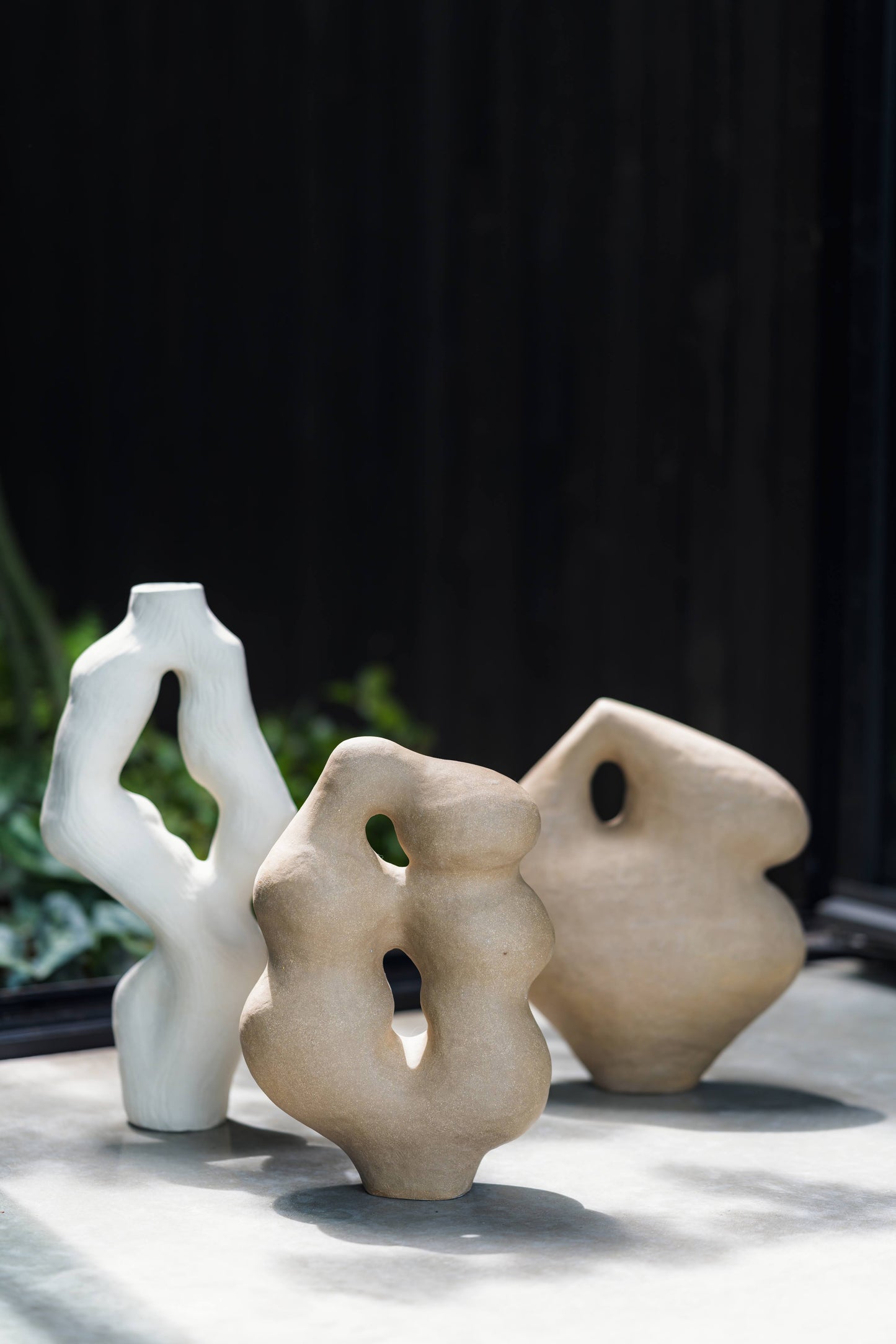 Olga Iacovlenco / Brown II