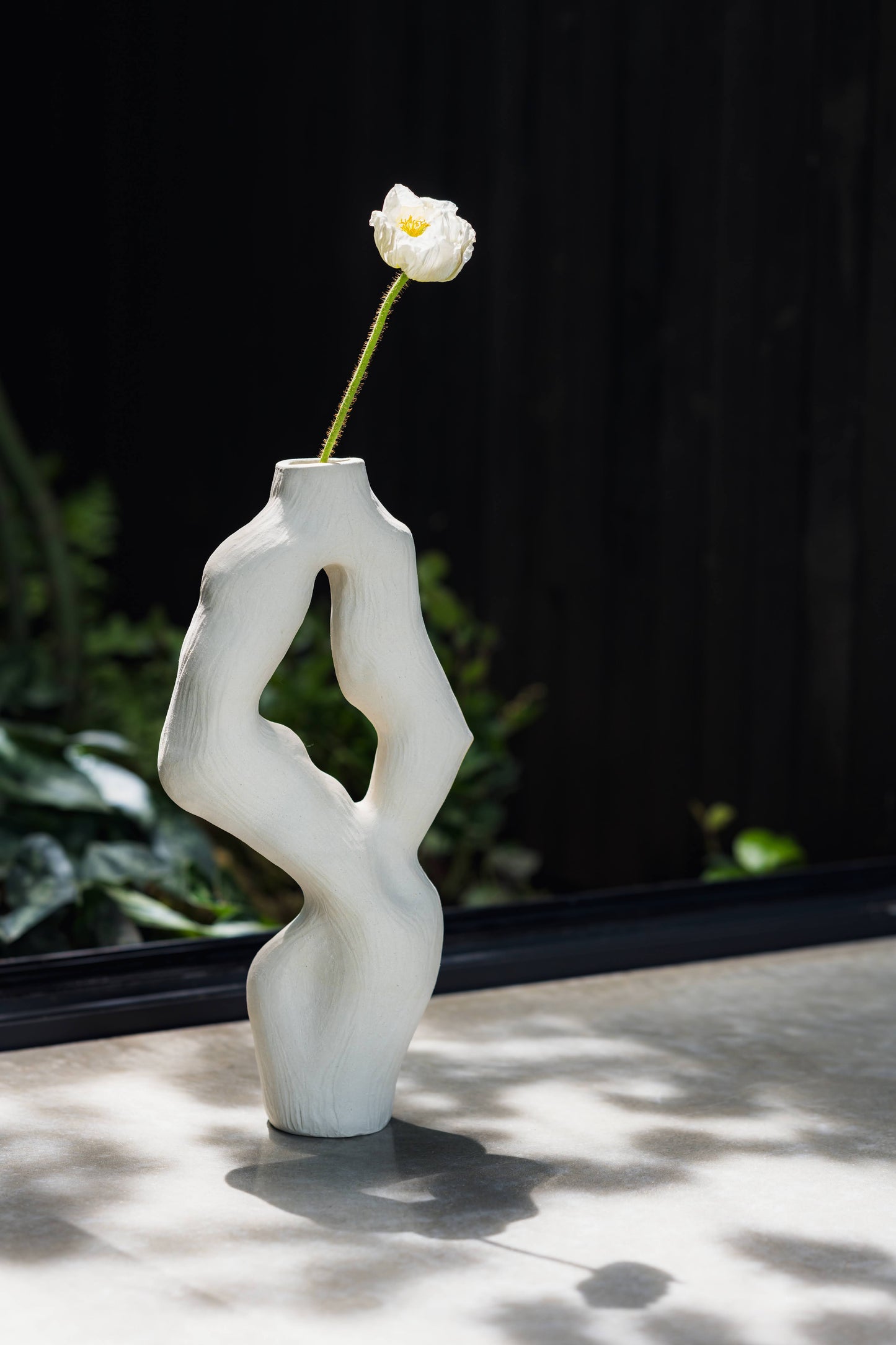 Olga Iacovlenco / Coral