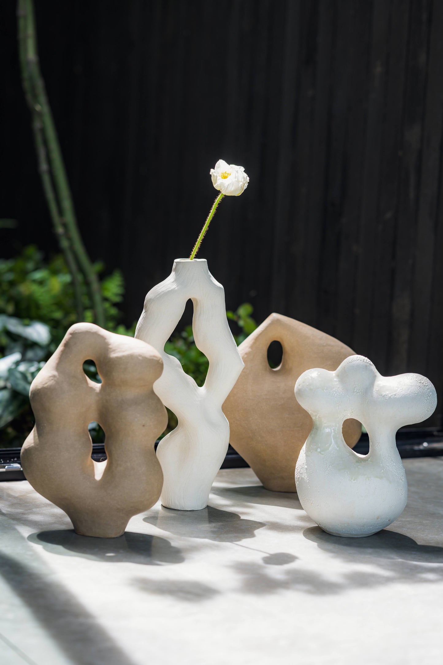 Olga Iacovlenco / Coral