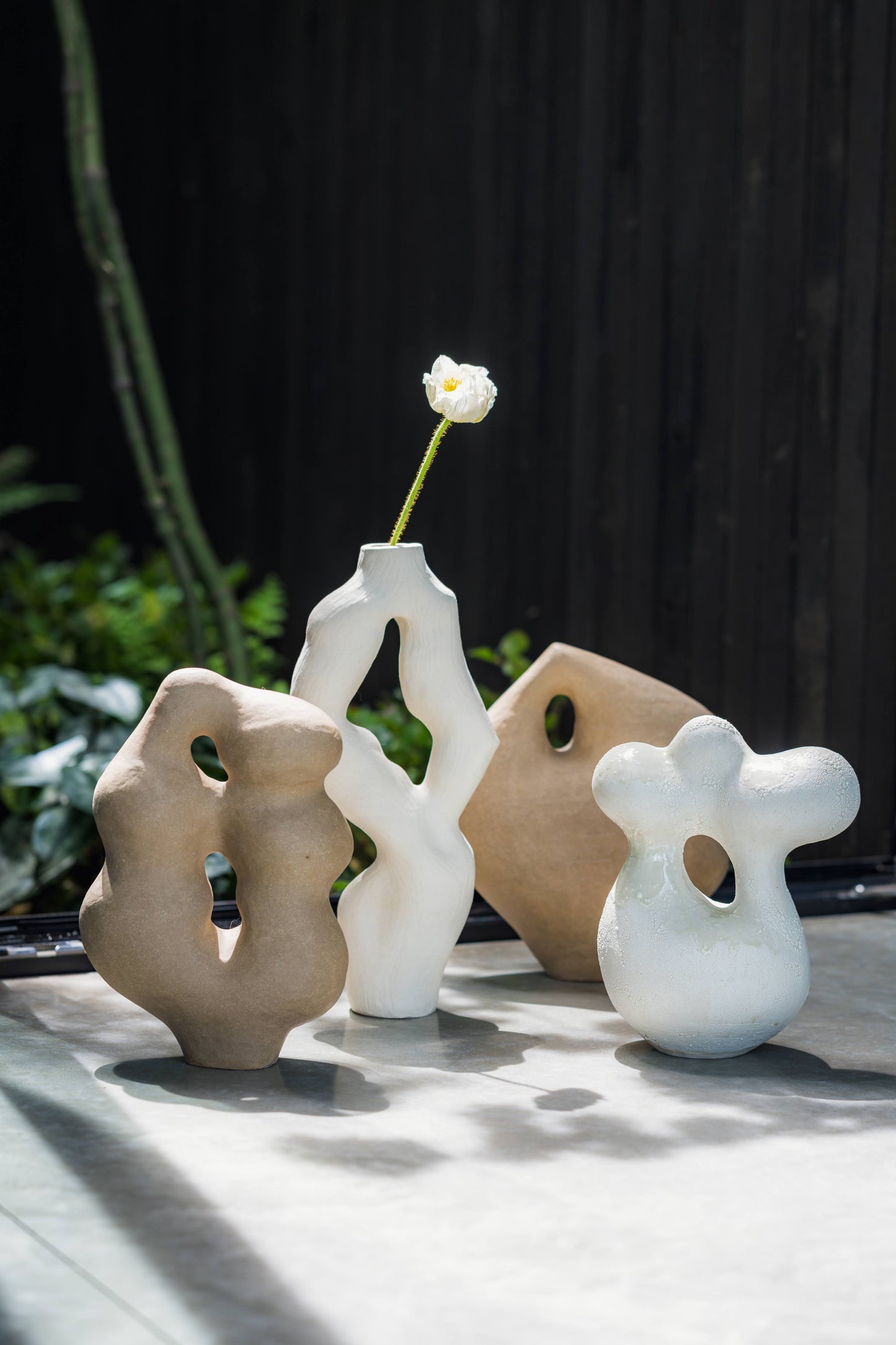 Olga Iacovlenco / Coral