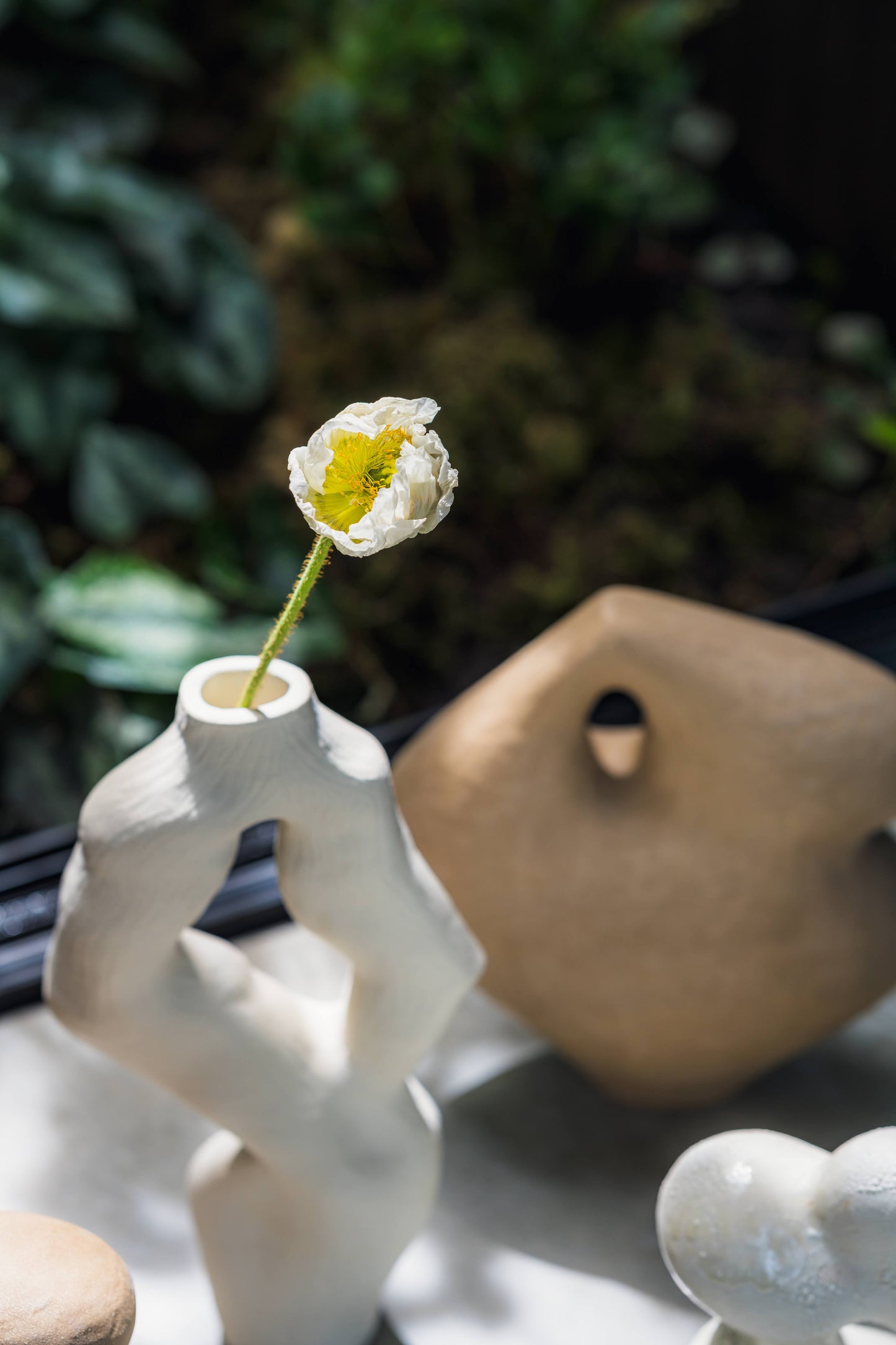 Olga Iacovlenco / Coral