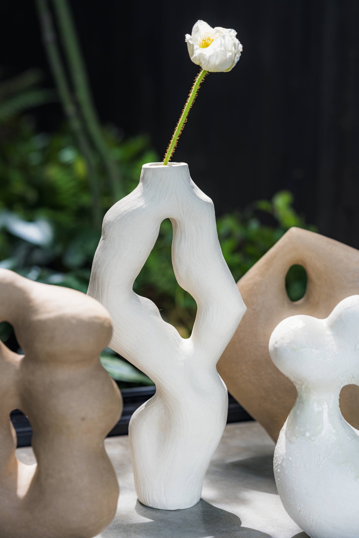 Olga Iacovlenco / Coral