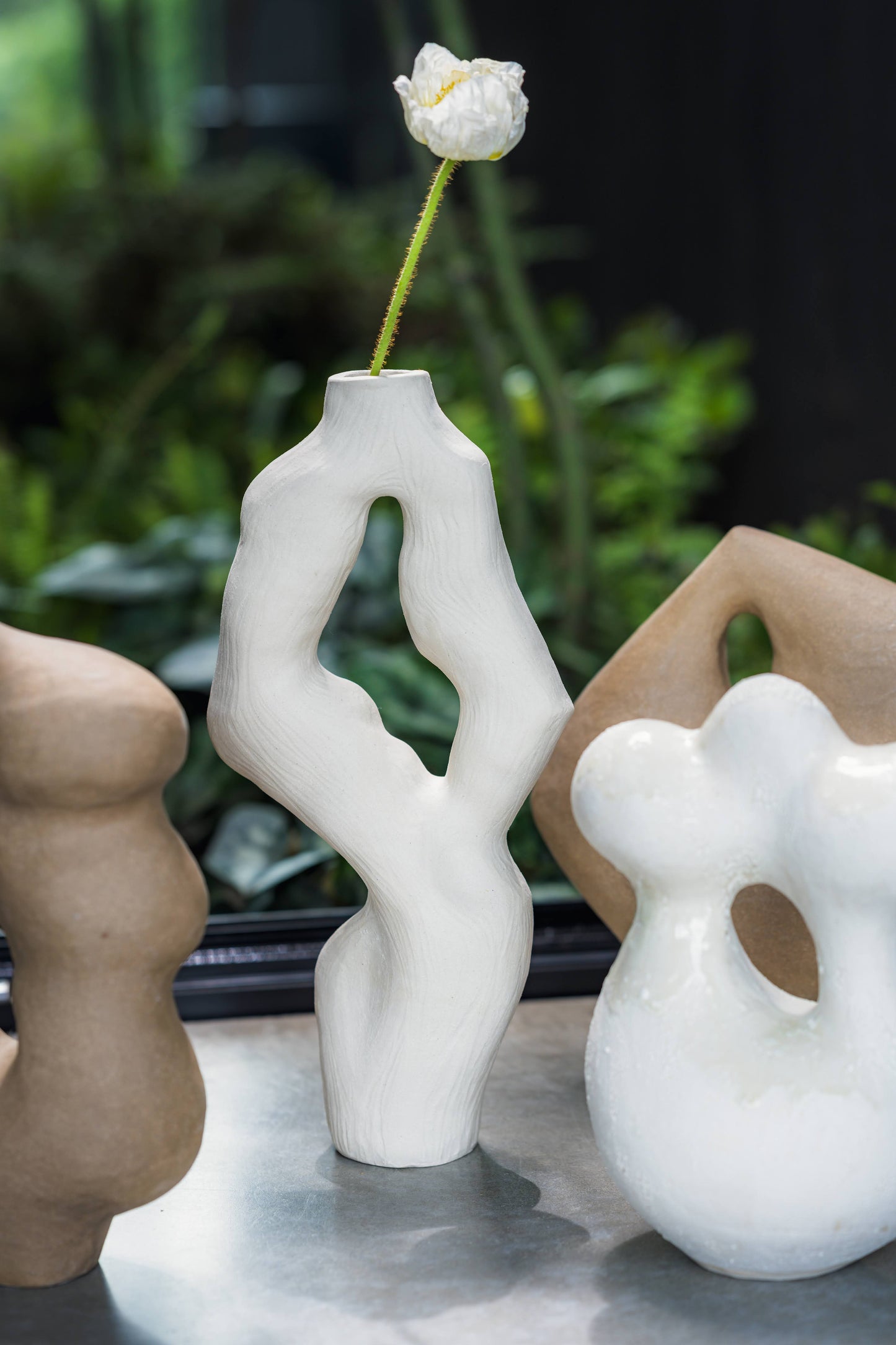 Olga Iacovlenco / Coral