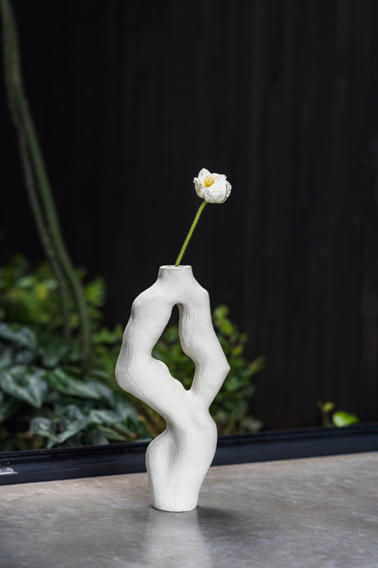 Olga Iacovlenco / Coral