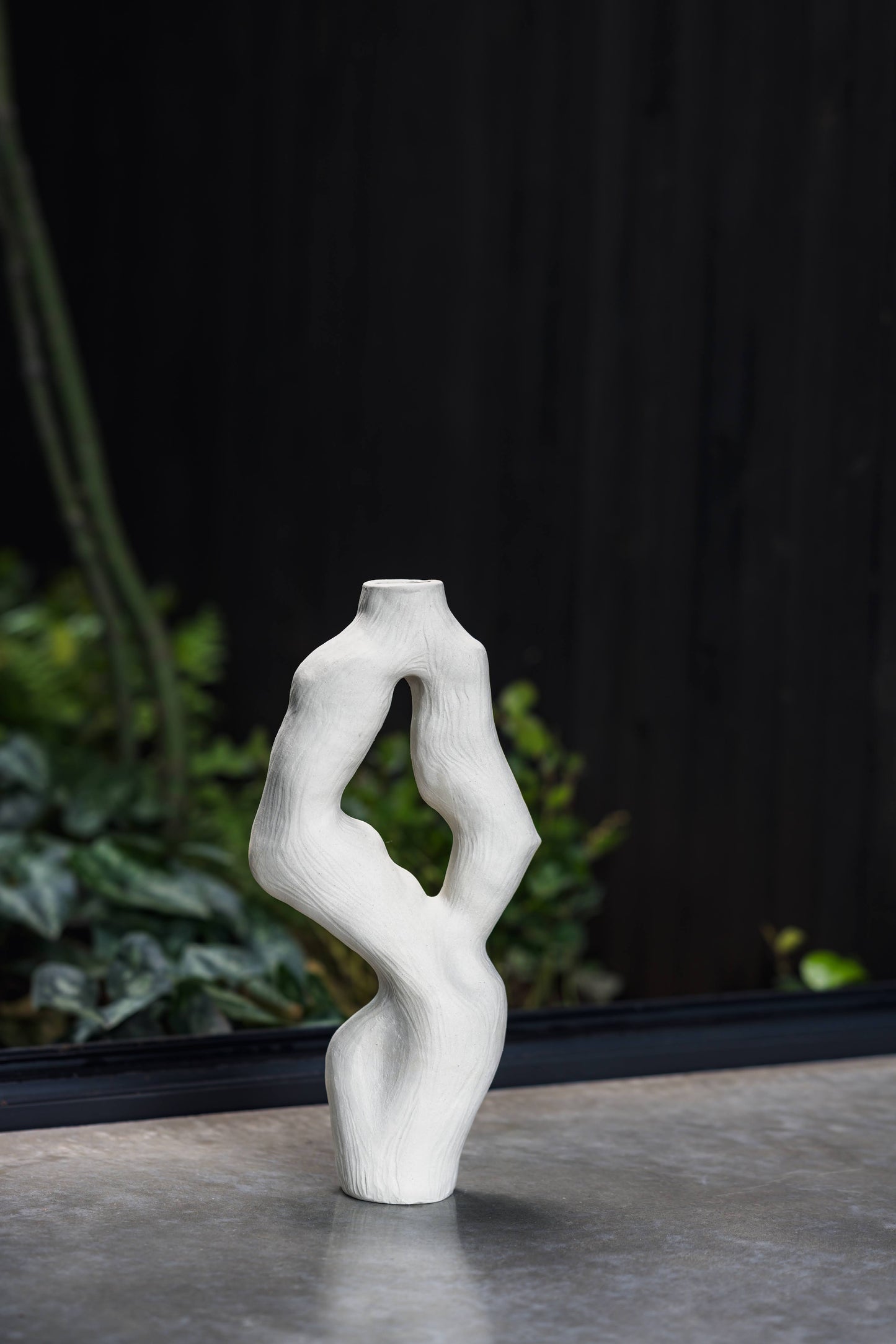 Olga Iacovlenco / Coral