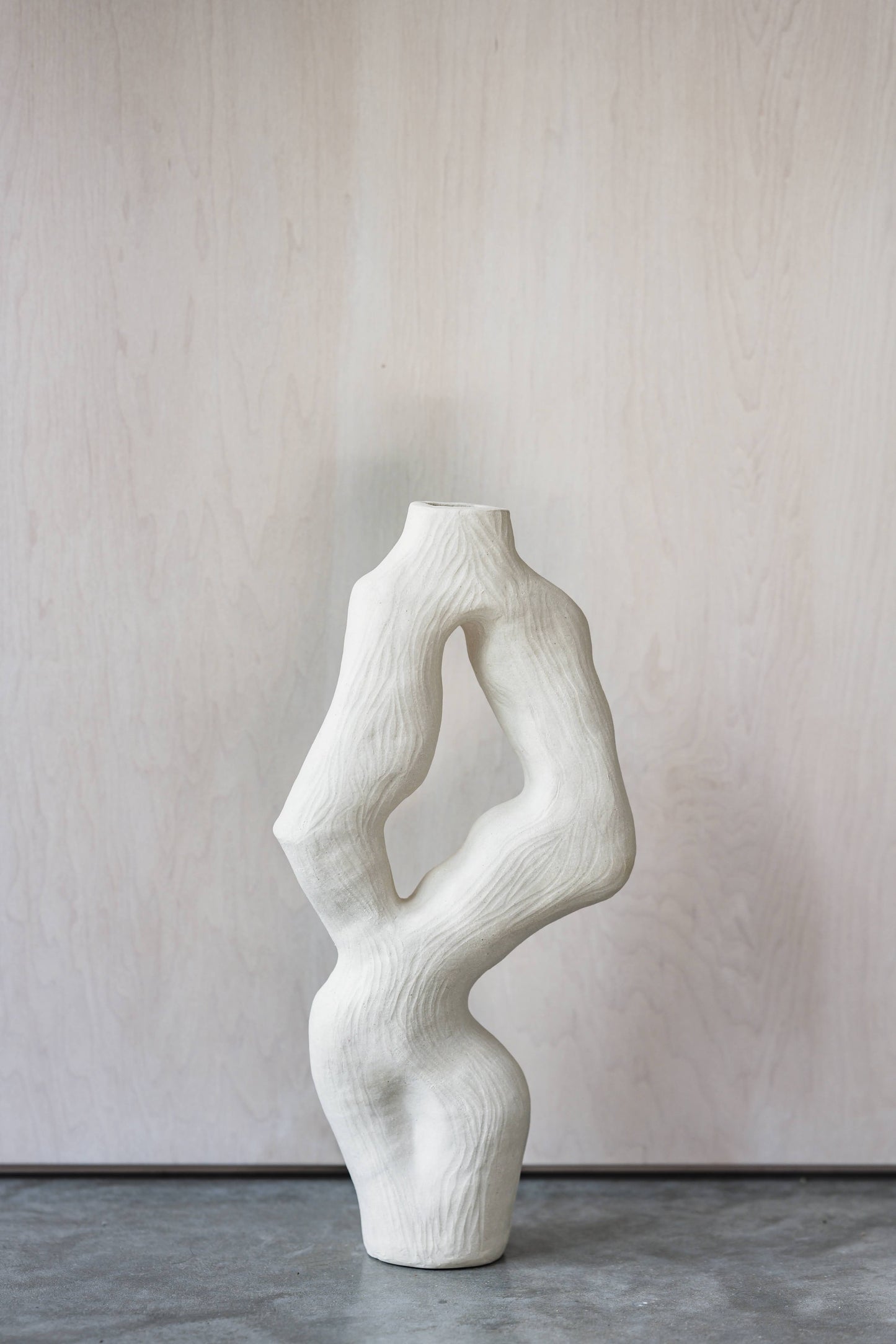 Olga Iacovlenco / Coral