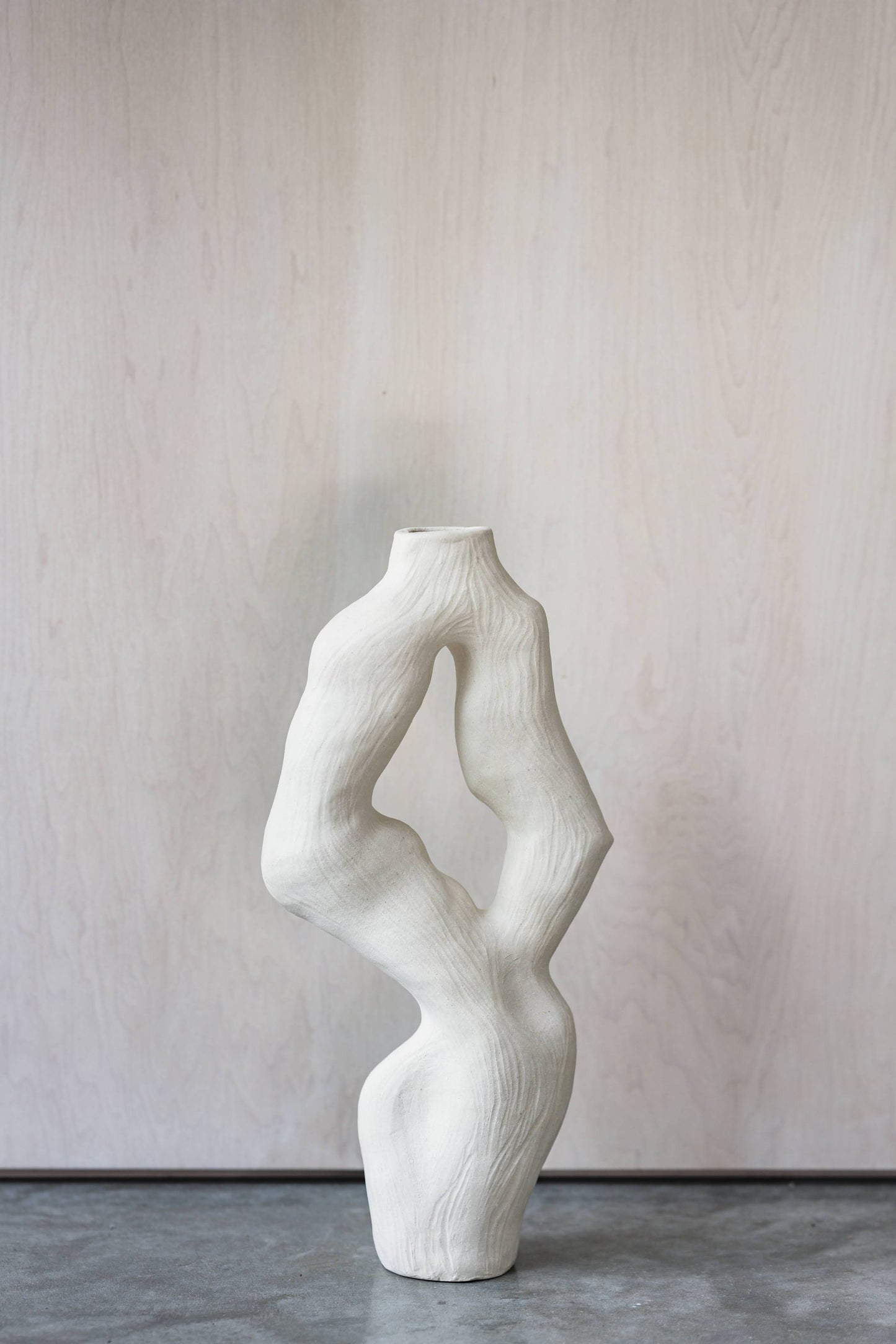 Olga Iacovlenco / Coral