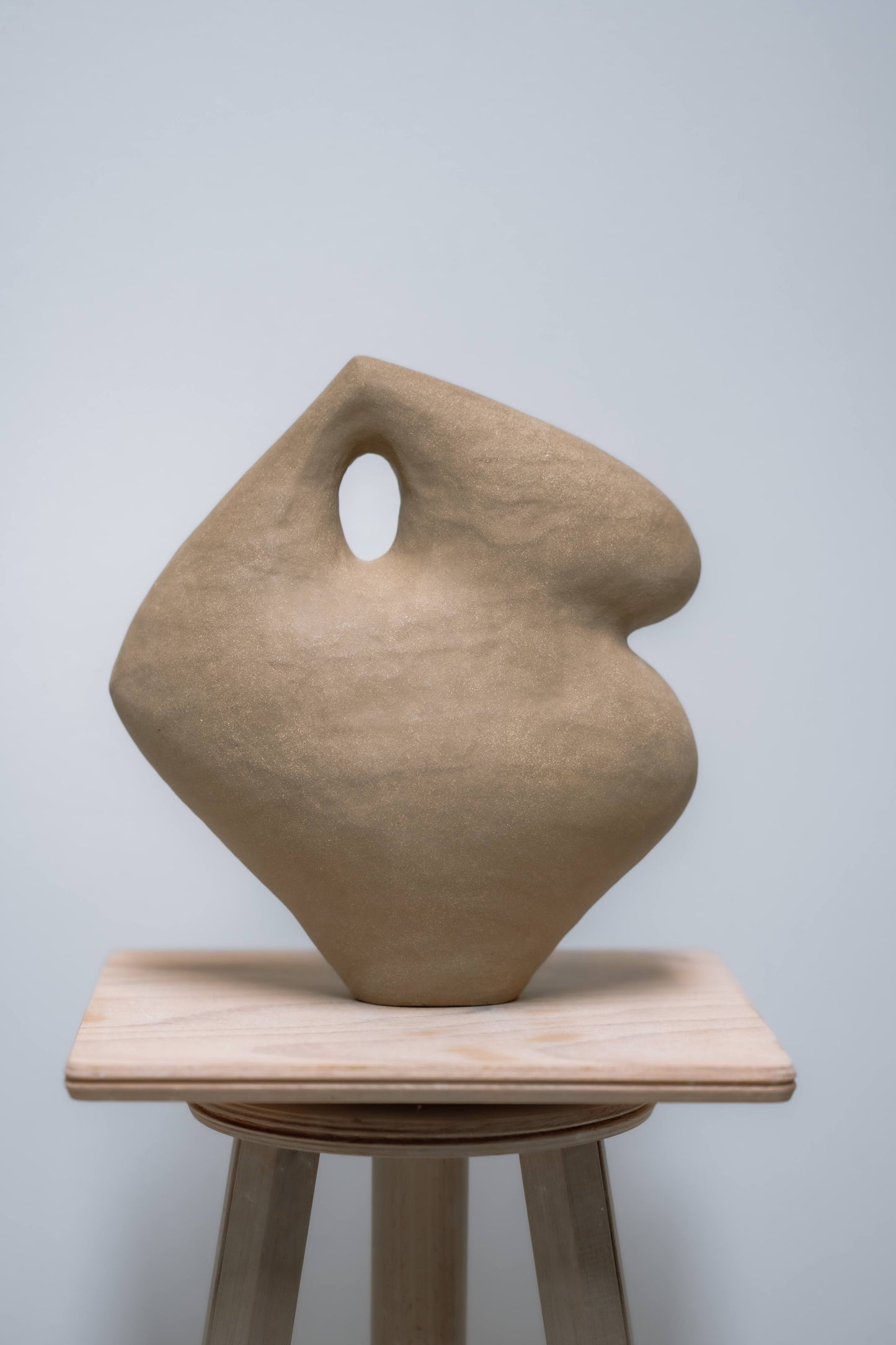 Olga Iacovlenco / Brown II