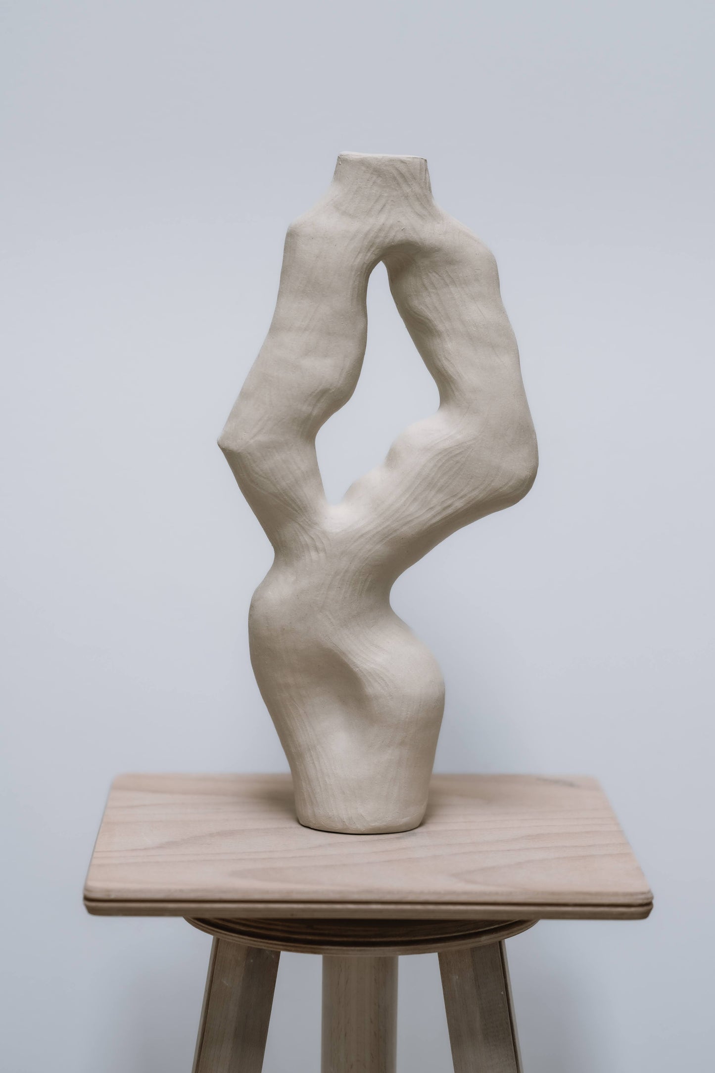 Olga Iacovlenco / Coral