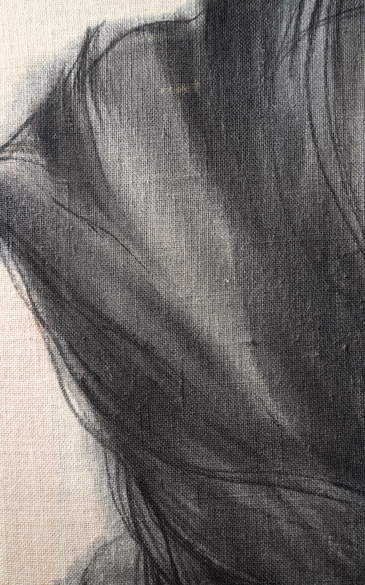 Andrea Solaja / Eclypsys 2