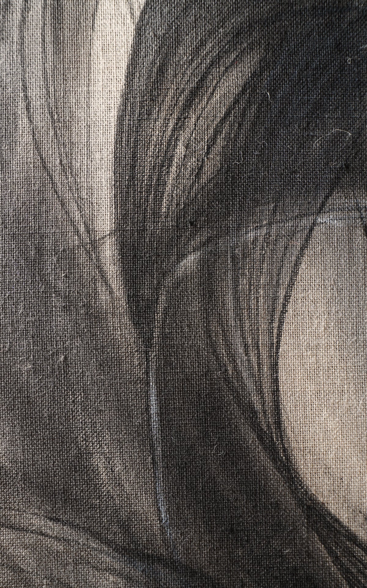 Andrea Solaja / Eclypsys 2