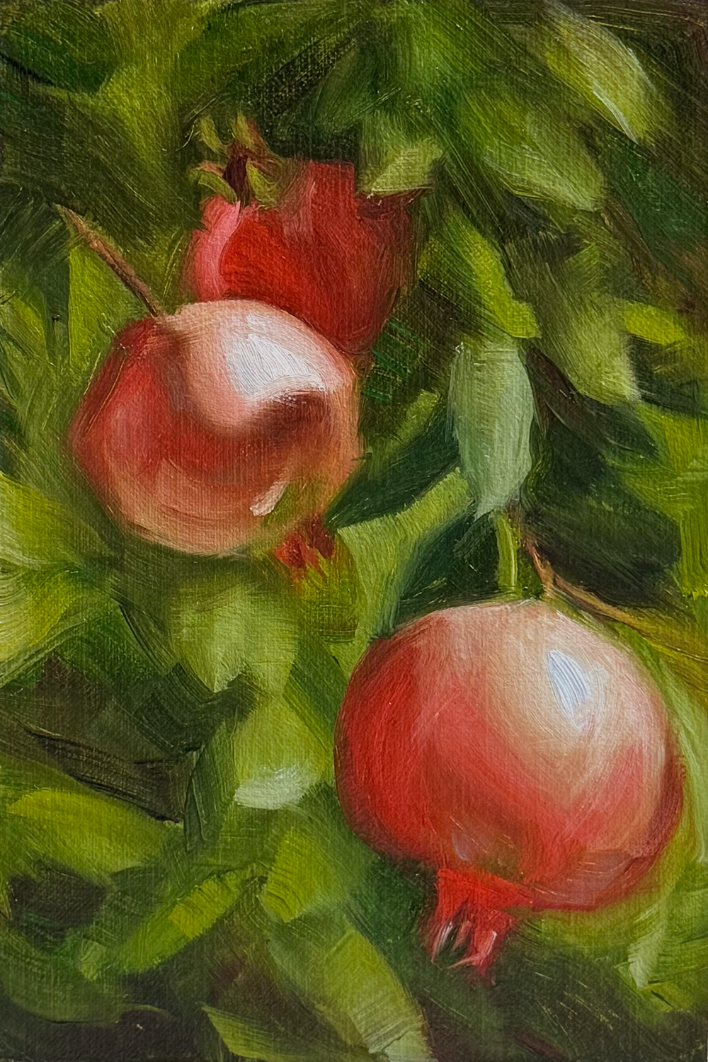 Robyn Asquini / El granado