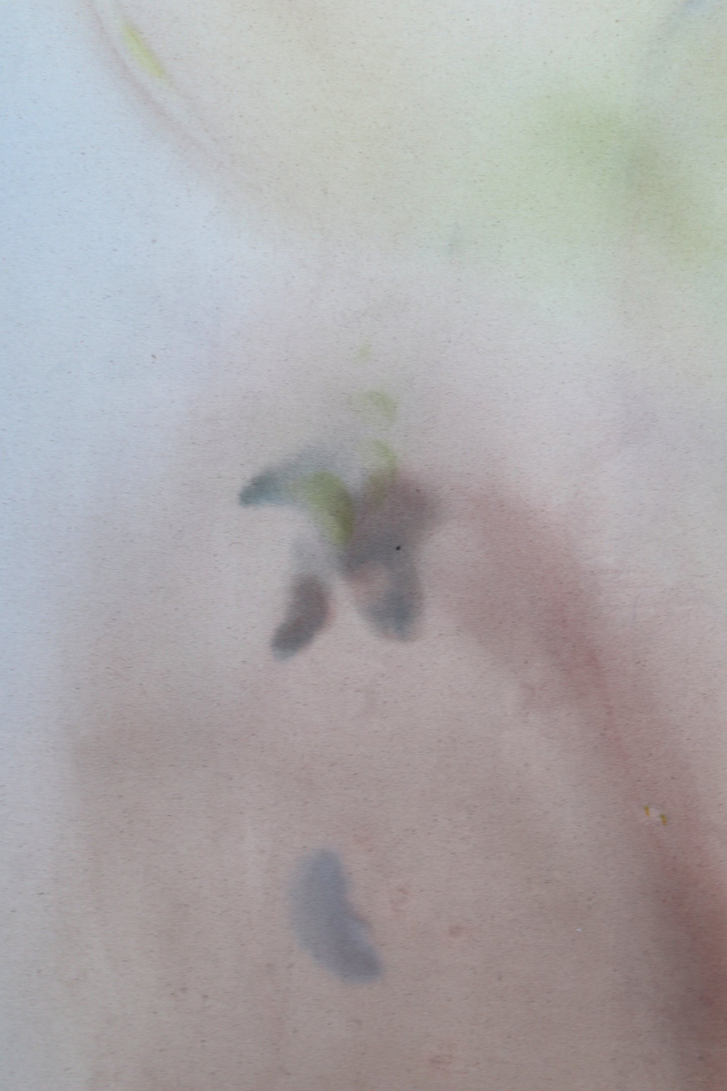 Arlina Cai / Into The Ether