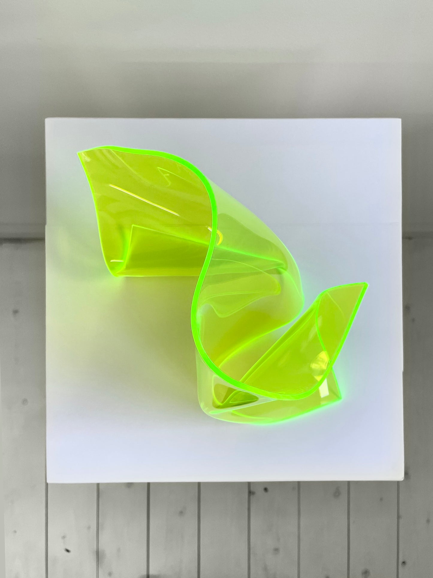 Michèle Caspers / Fluorescent Light Petite VI