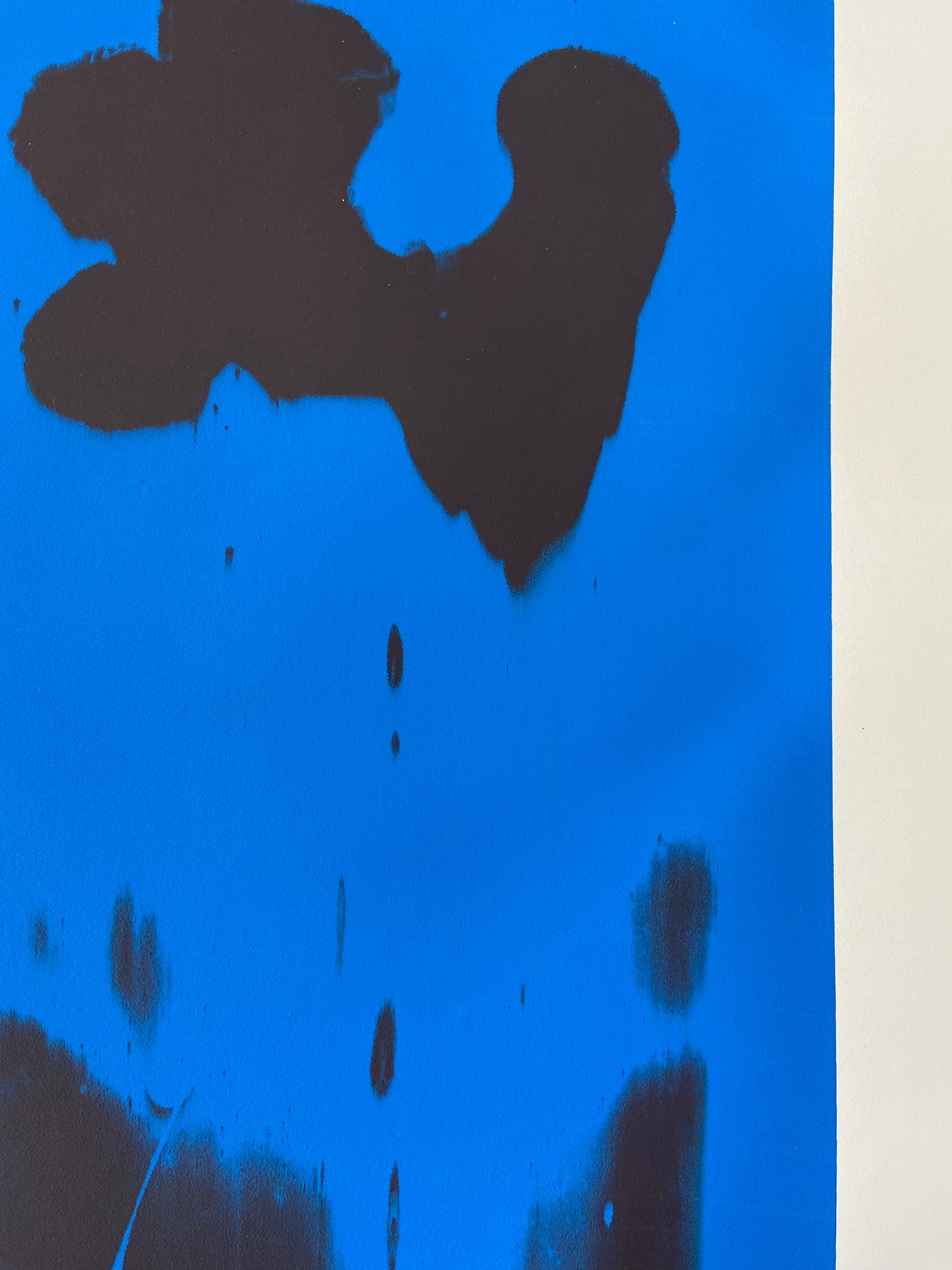 Natalia Nicole Rodriguez / 6:00pm