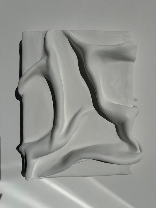 Gbemi Adesanya / Means to an End