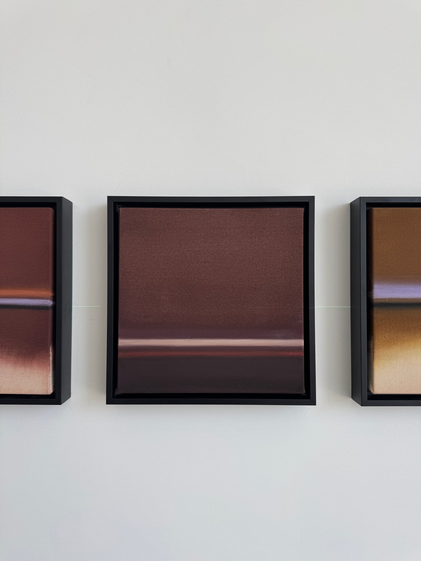 Ali Pilli / You Could Drape Yourself in Velvet