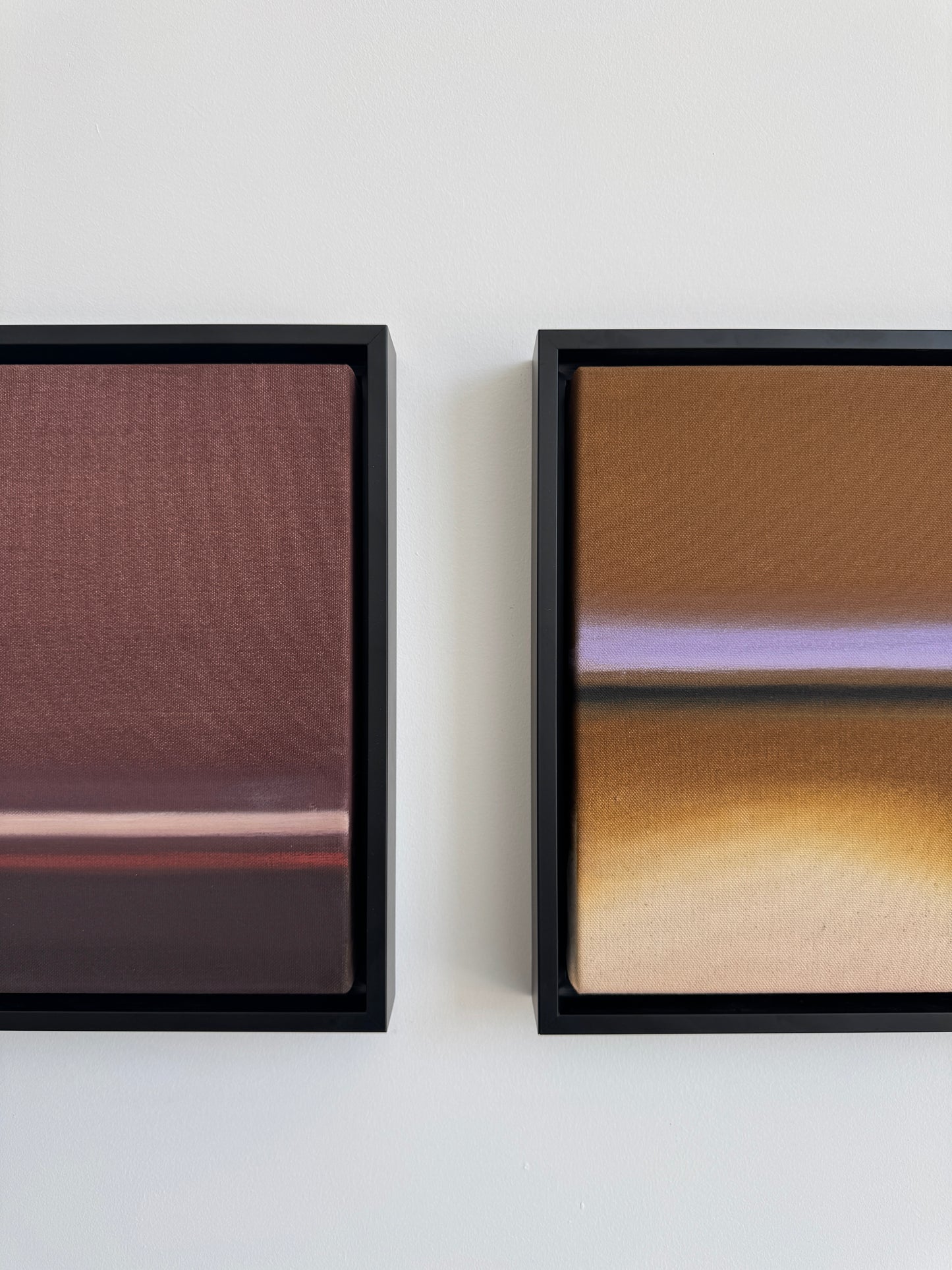 Ali Pilli / You Could Drape Yourself in Velvet