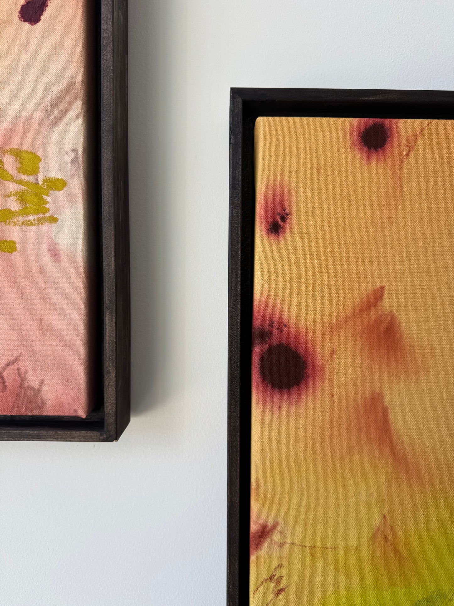 Celia Lees / I Thought Something Was Said