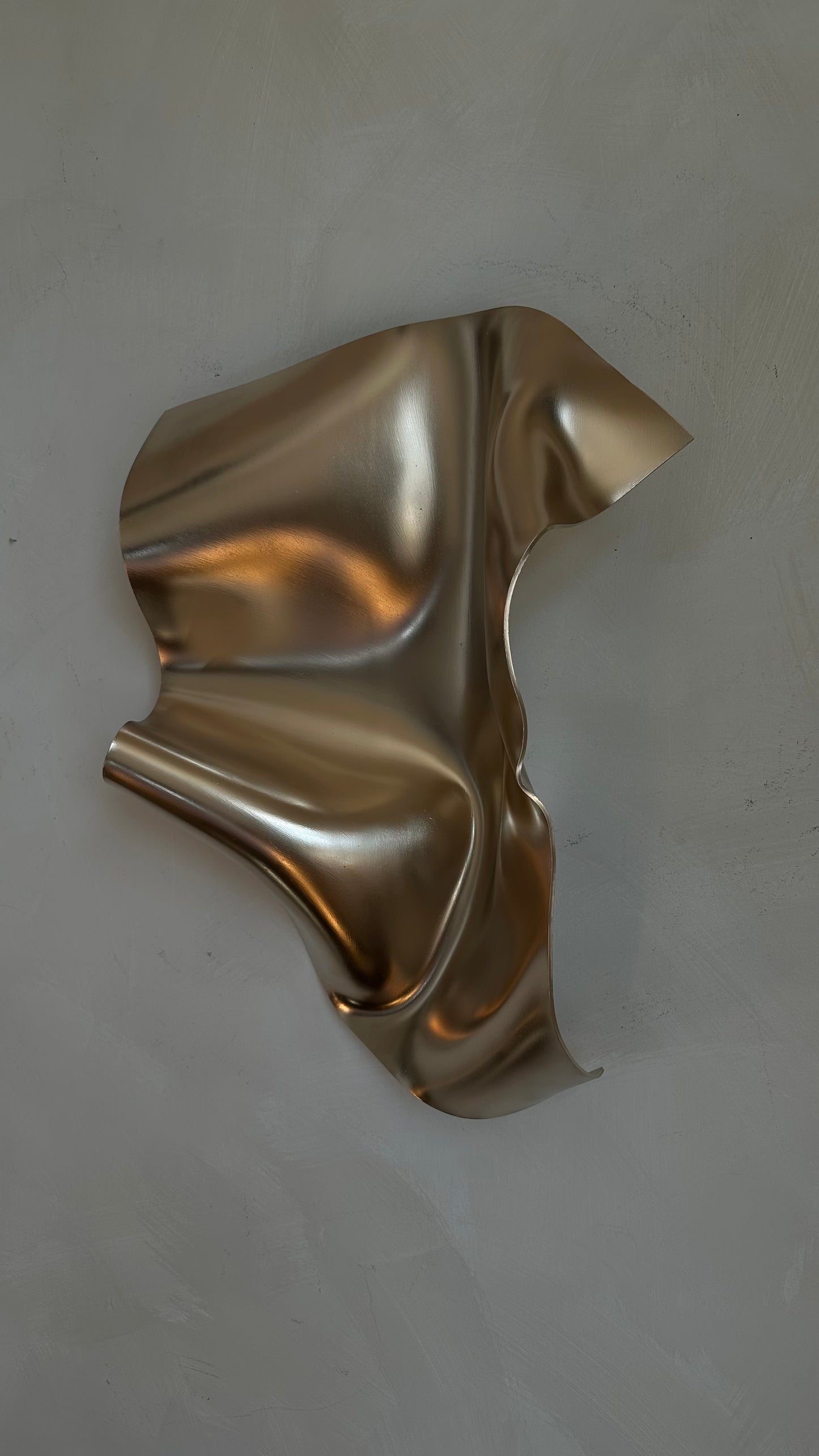 Gbemi Adesanya / In Transmission