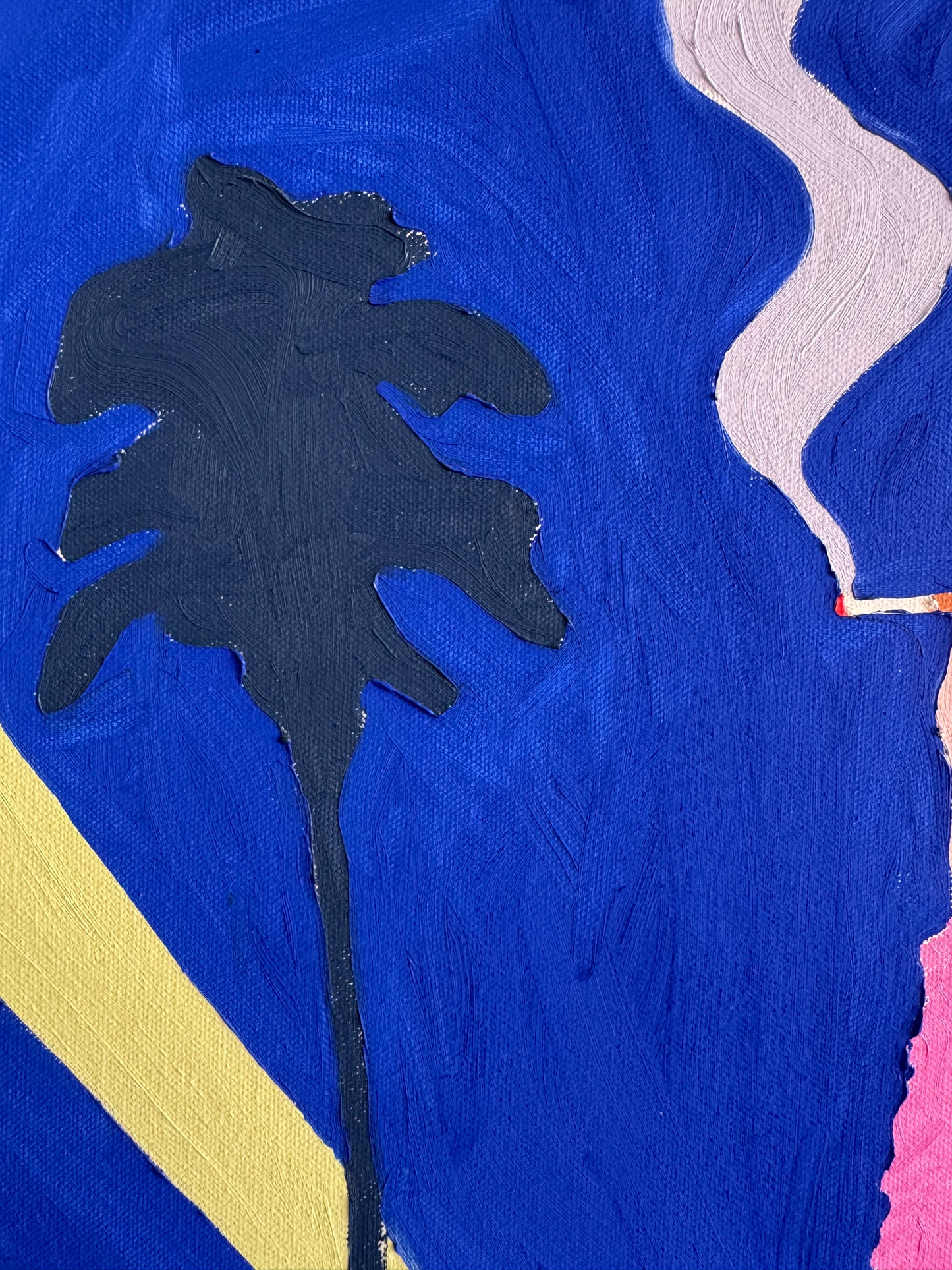 Hayley Axelrad / Starlet