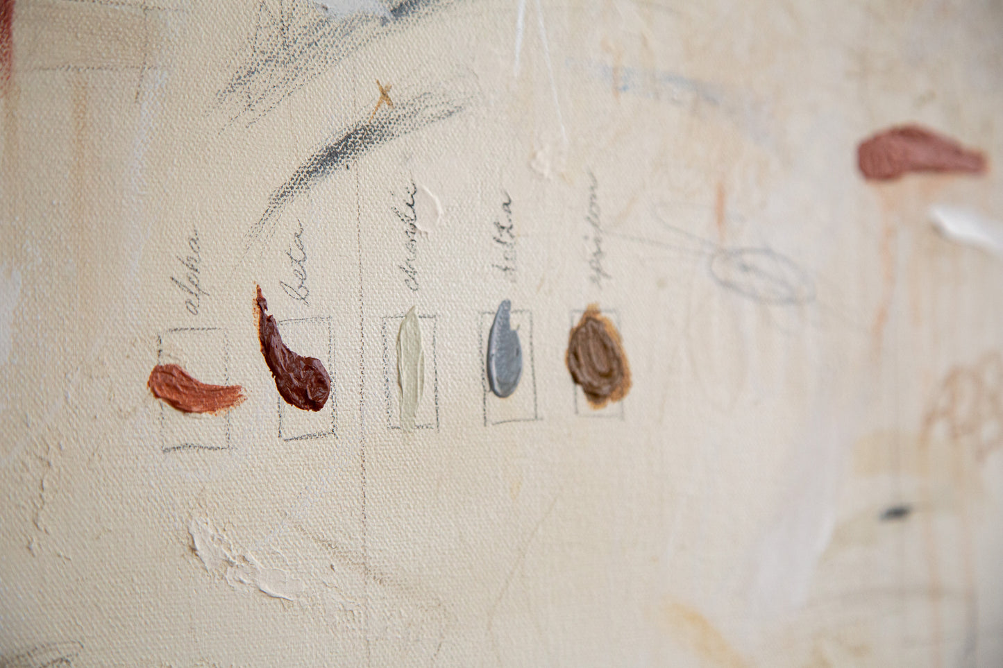 Margot Sinclair / Fleurs Sèches