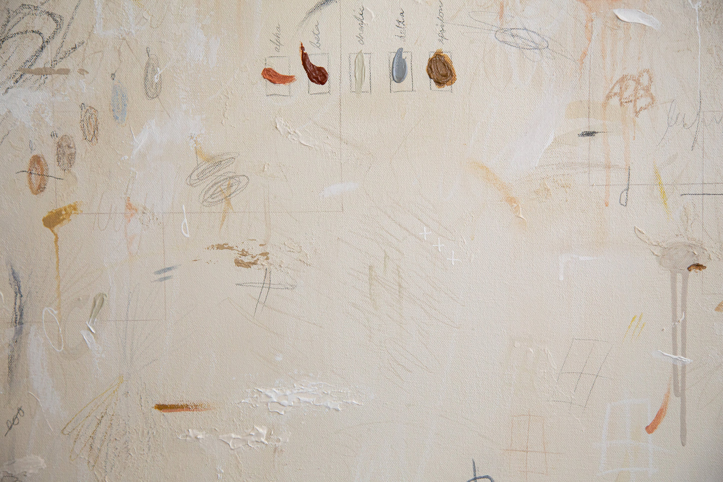 Margot Sinclair / Fleurs Sèches