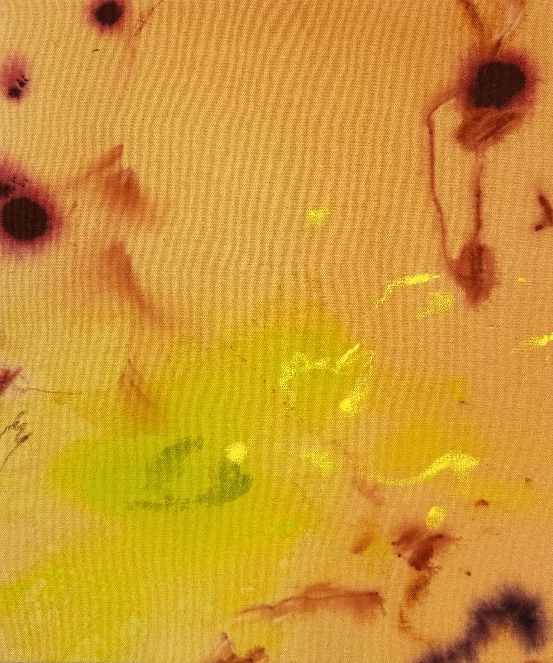 Celia Lees / I Thought Something Was Said