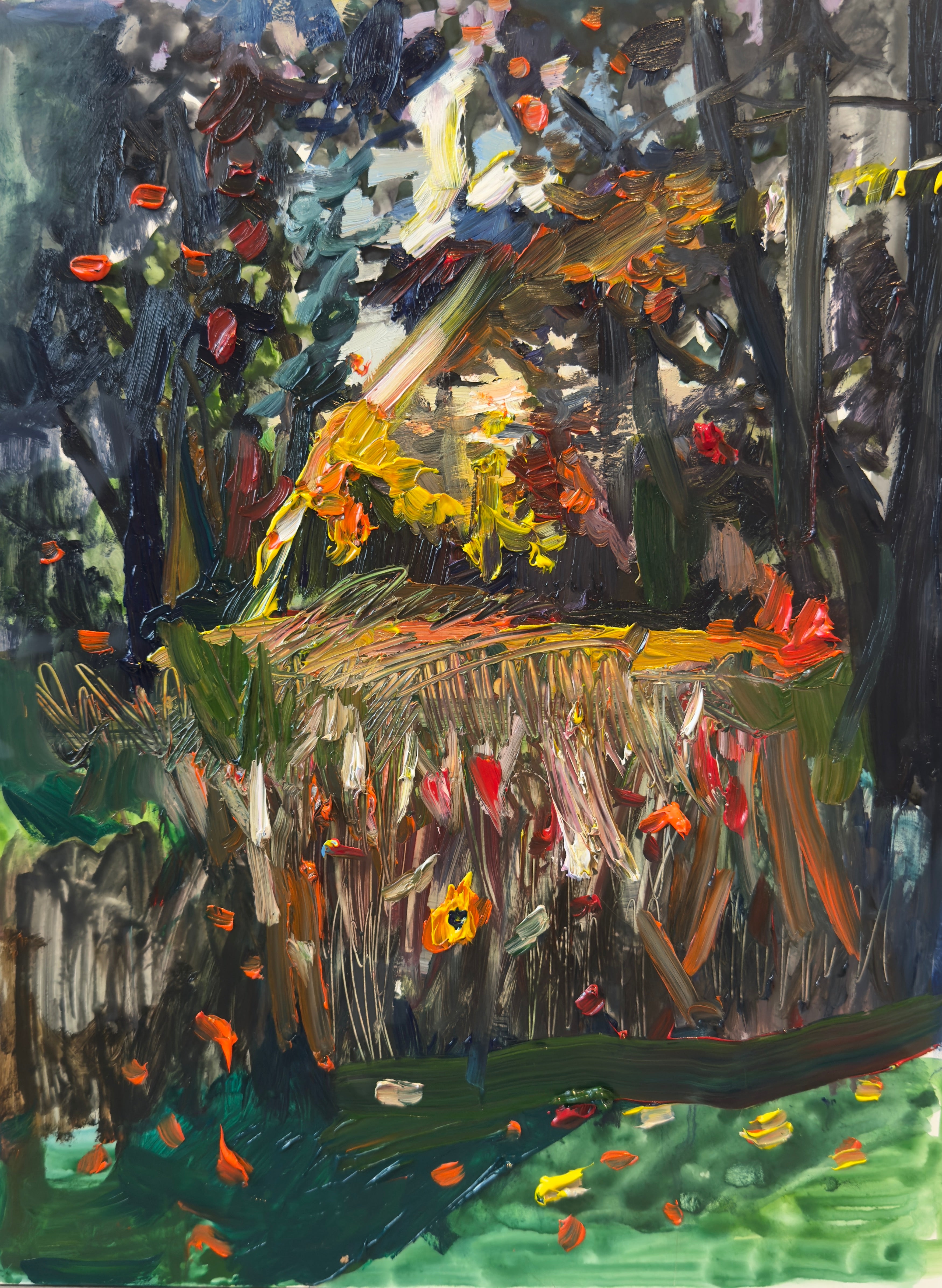 Alison Kruse / Cedar in October