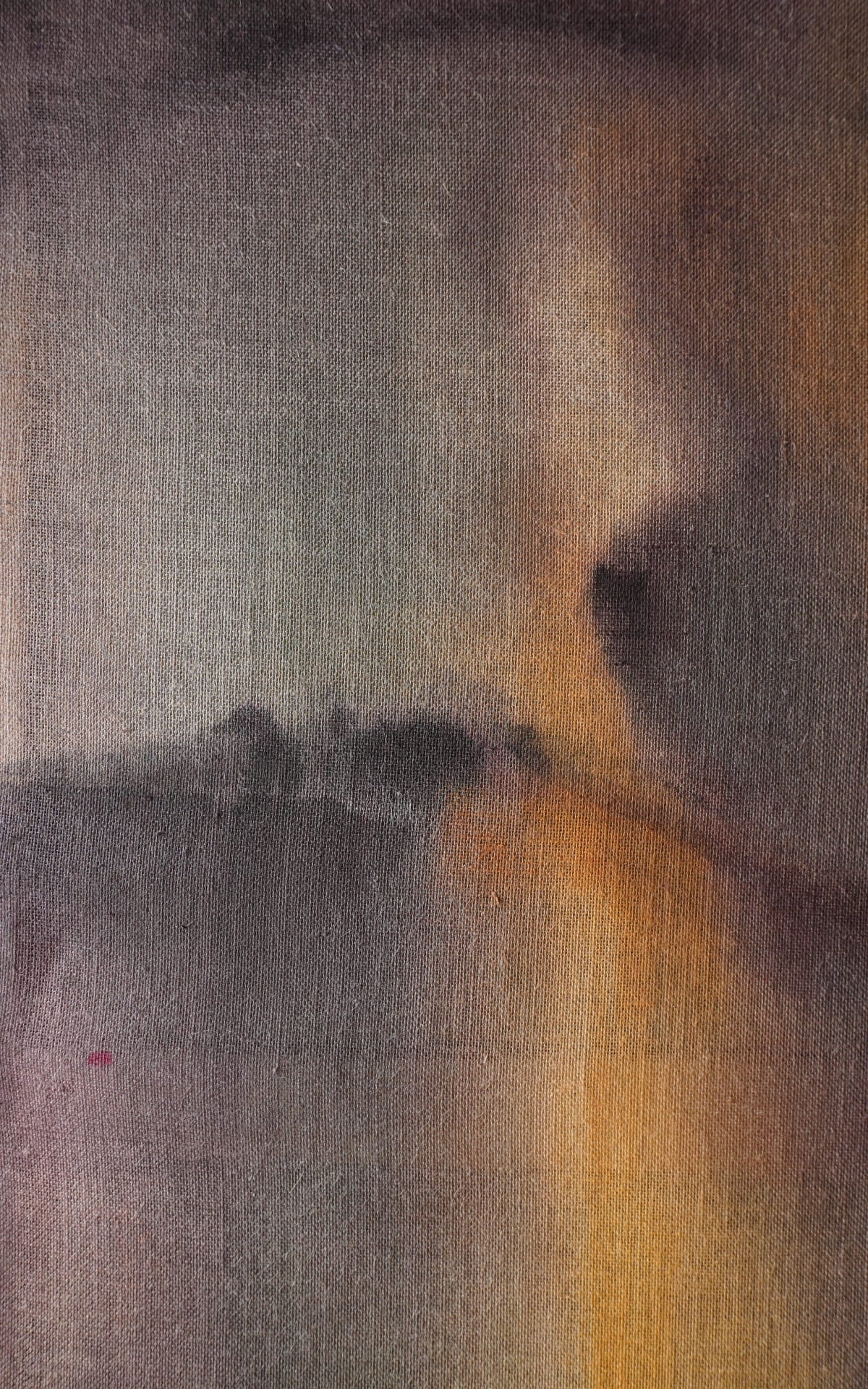 Andrea Solaja / Noctiluca 2