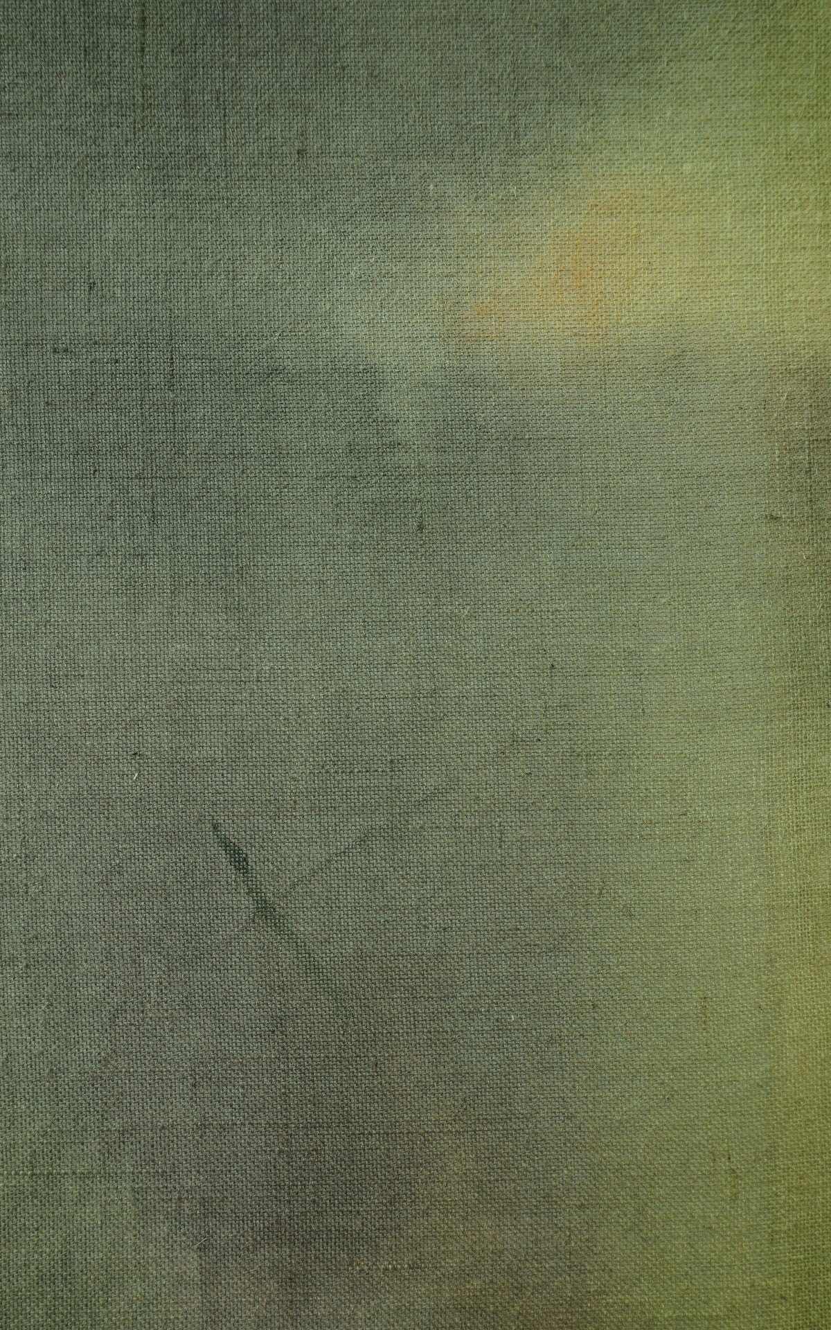 Andrea Solaja / Petrichor 7