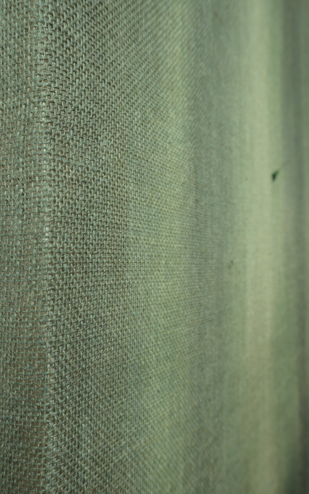 Andrea Solaja / Petrichor 9