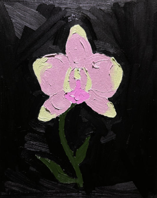 Hayley Axelrad / Pink Orchid