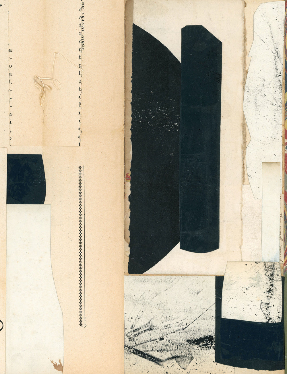 Sarah Short / First Grownup Book