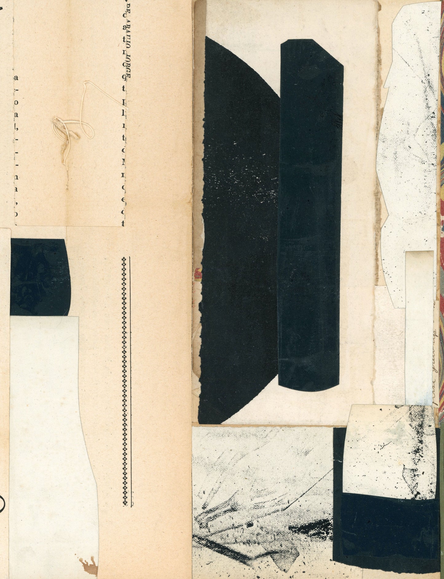 Sarah Short / First Grownup Book