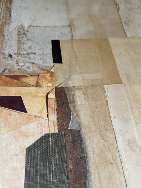 Sarah Short / This Light and Shadow (Original)