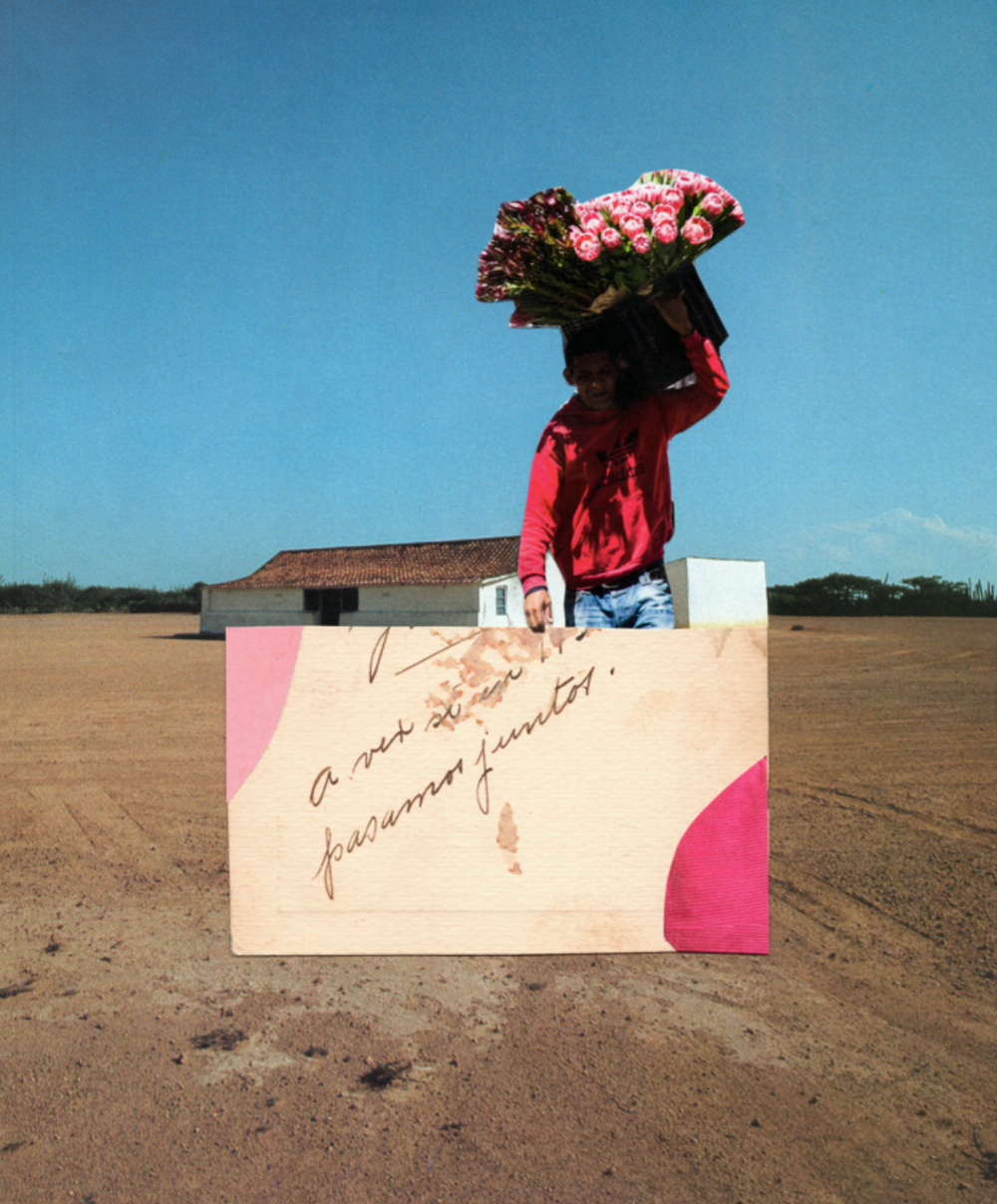 Renske Herder / Paraguana House