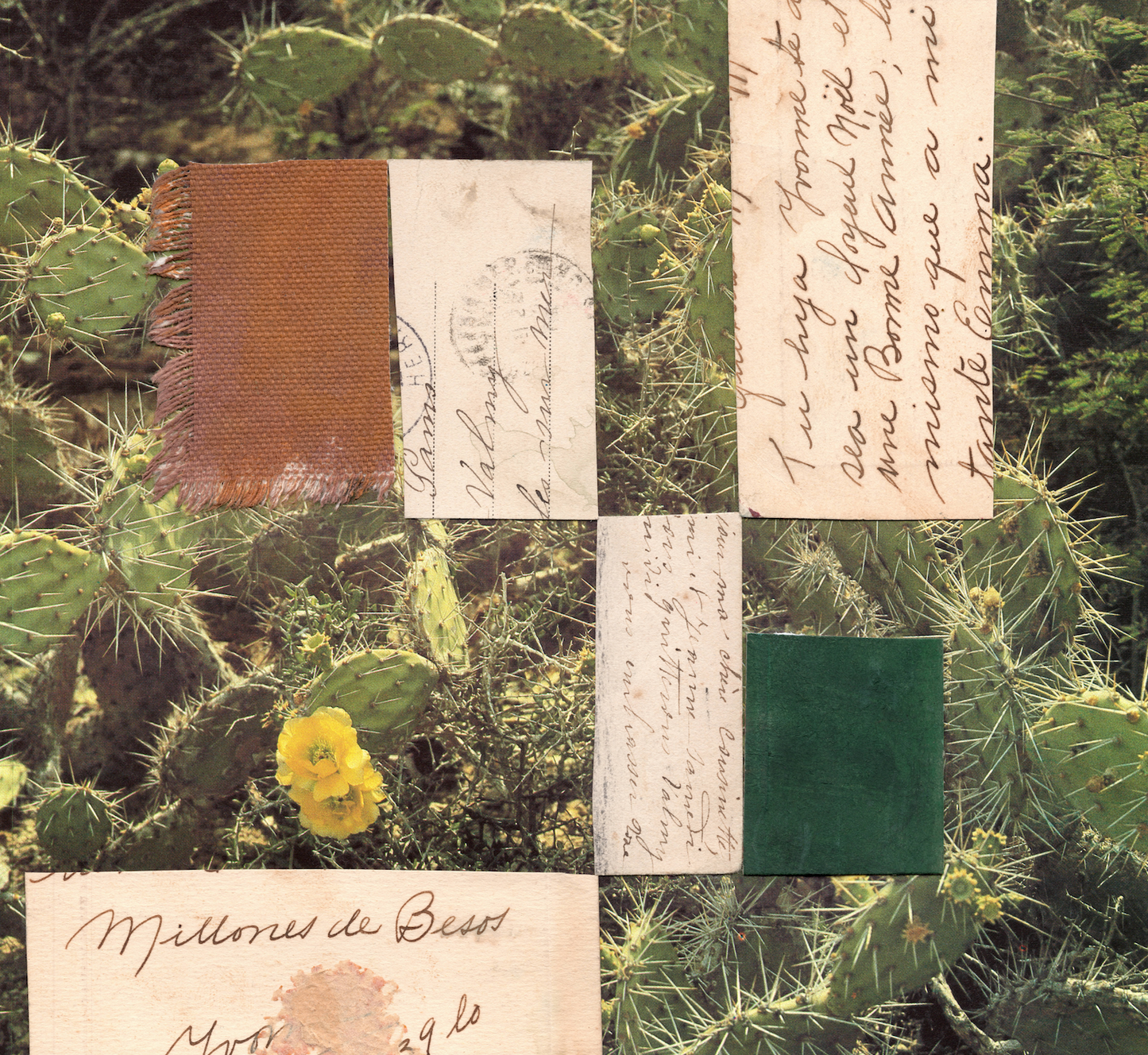 Renske Herder / Milliones de Besos