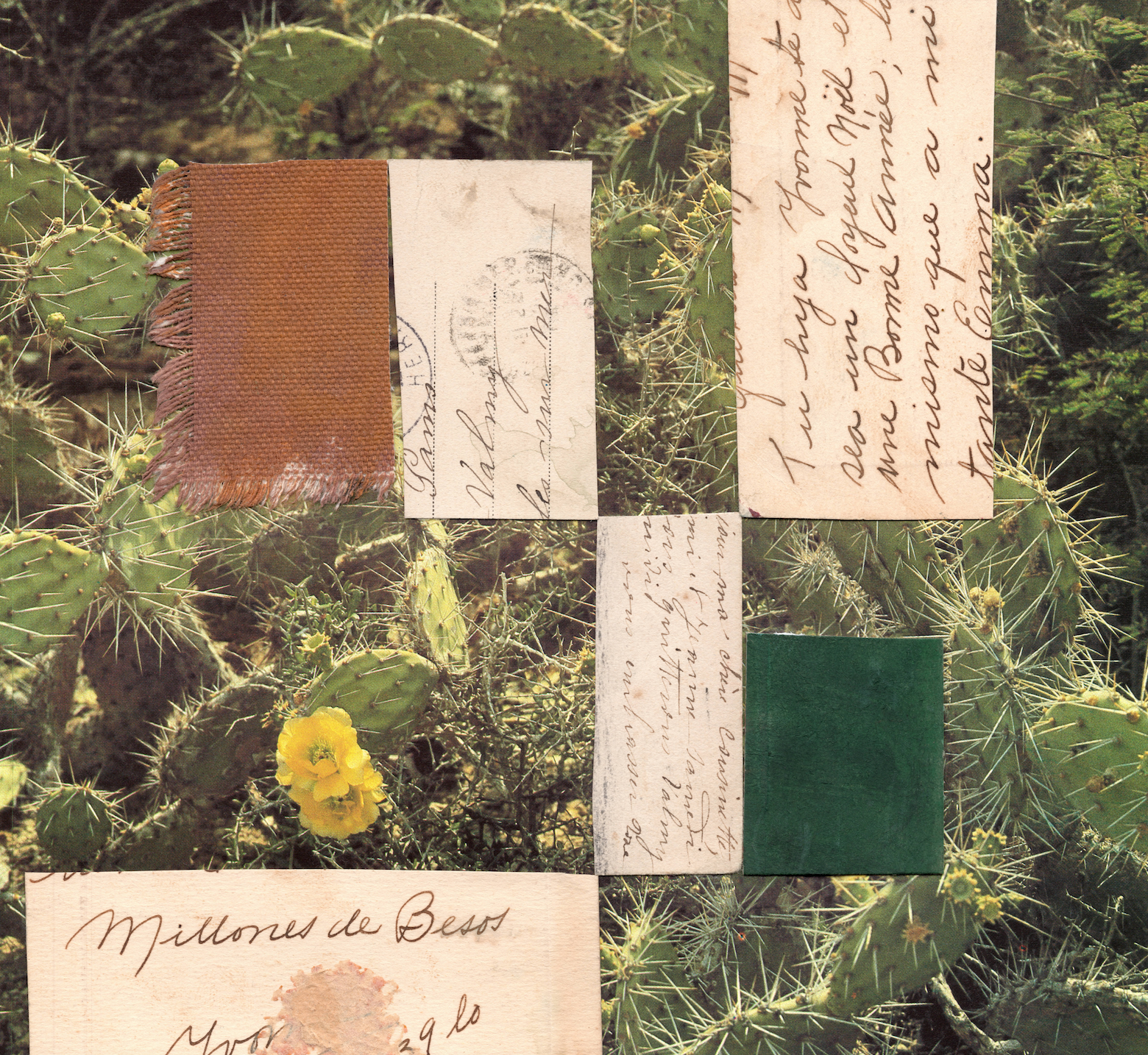 Renske Herder / Milliones de Besos